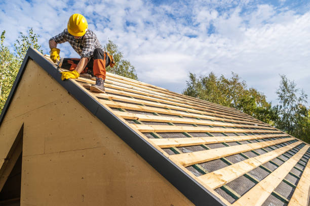 Sealant for Roof in Medina, WA